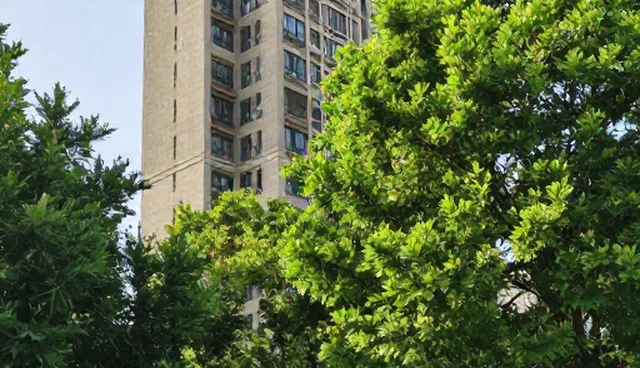 管理优化方案在实际应用中的误区分析